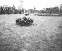 麒麟公园建设成型即将开放迎客[燕都