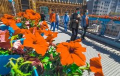 50处节点景观让西宁美如画（西宁晚报）
