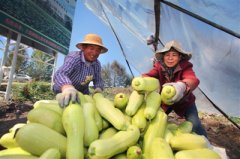 我省“菜篮子”“肉盘子”充足稳定（西宁晚报